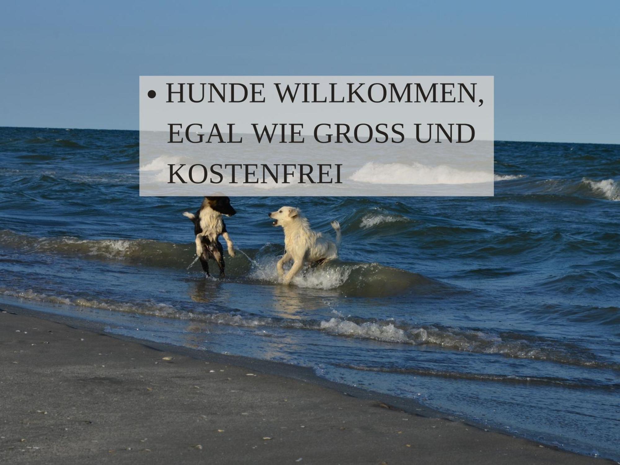 Haus Krabbe Ohne Kueche, Fuer 1-2 Personen, Doppelbett, Zentral Gelegen Zwischen Cuxhaven Und Bremerhaven, Hunde Kostenfrei Willkommen, Kostenfreier Parkplatz * Wremen